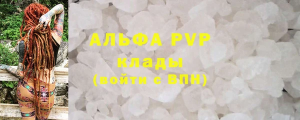спиды Белокуриха
